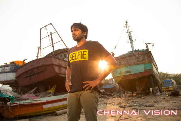 Naanum Rowdydhaan Tamil Movie Photos by ChennaiVision