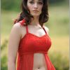 Tamil Actress Tamanna Photos