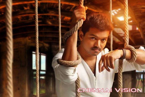 Tamil Actor Vijay Photos, Stills, Images