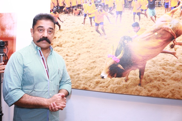 Jallikattu Photo Exhibition Opening Ceremony Stills