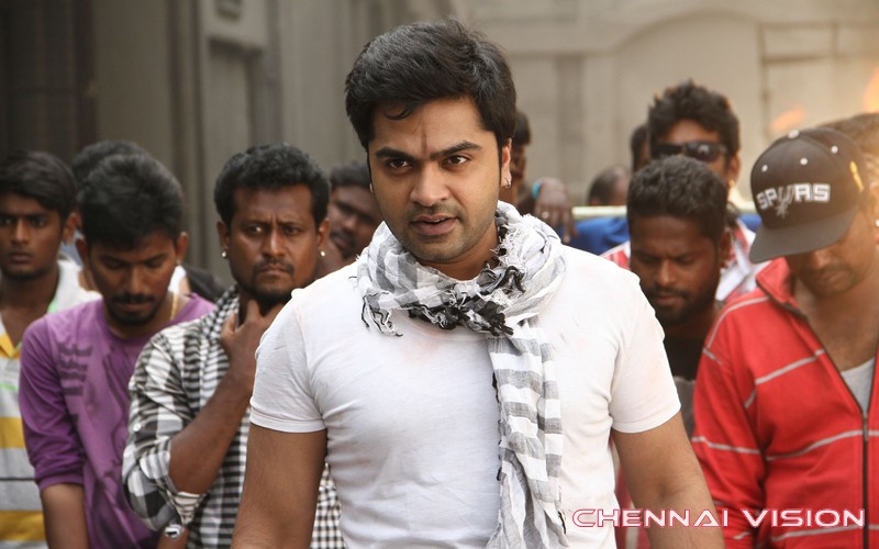 Tamil Actor Silambarasan Photos by Chennaivision