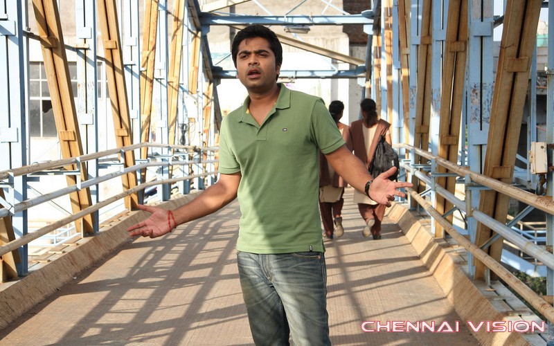 Tamil Actor Silambarasan Photos by Chennaivision