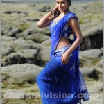 Tamil Actress Amala Paul Photos by Chennaivision