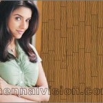 Tamil Actress Asin Photos by Chennaivision