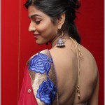 Tamil Actress Dhansika Photos by Chennaivision