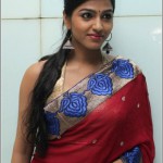 Tamil Actress Dhansika Photos by Chennaivision