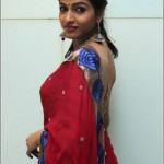 Tamil Actress Dhansika Photos by Chennaivision