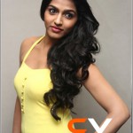 Tamil Actress Dhansika Photos by Chennaivision