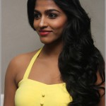 Tamil Actress Dhansika Photos by Chennaivision