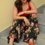 Tamil Actress Nikesha Patel Photos by Chennaivision