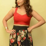 Tamil Actress Nikesha Patel Photos by Chennaivision