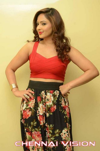 Tamil Actress Nikesha Patel Photos by Chennaivision