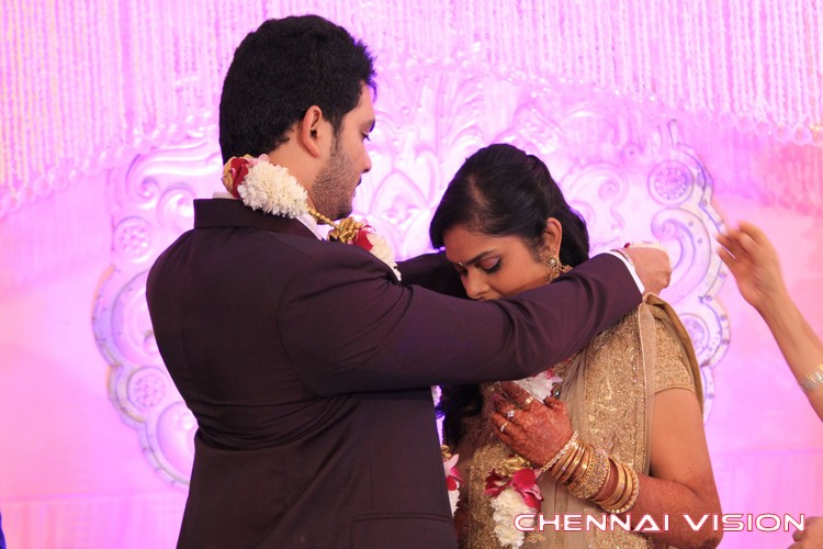 Dr Sethuraman Marriage Reception Photos