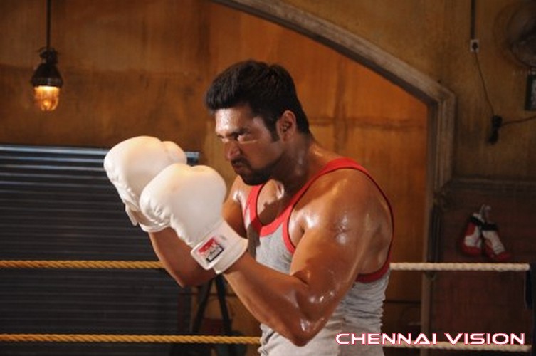 Tamil Actor Jayam Ravi Photos by Chennaivision