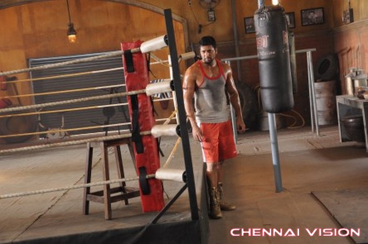 Tamil Actor Jayam Ravi Photos by Chennaivision