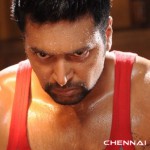 Tamil Actor Jayam Ravi Photos by Chennaivision