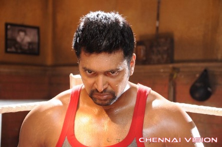 Tamil Actor Jayam Ravi Photos by Chennaivision