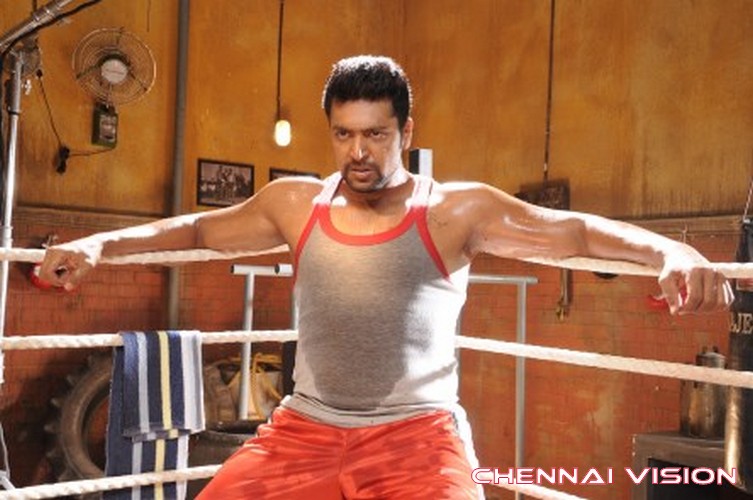 Tamil Actor Jayam Ravi Photos by Chennaivision