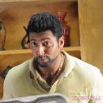 Tamil Actor Jayam Ravi Photos by Chennaivision