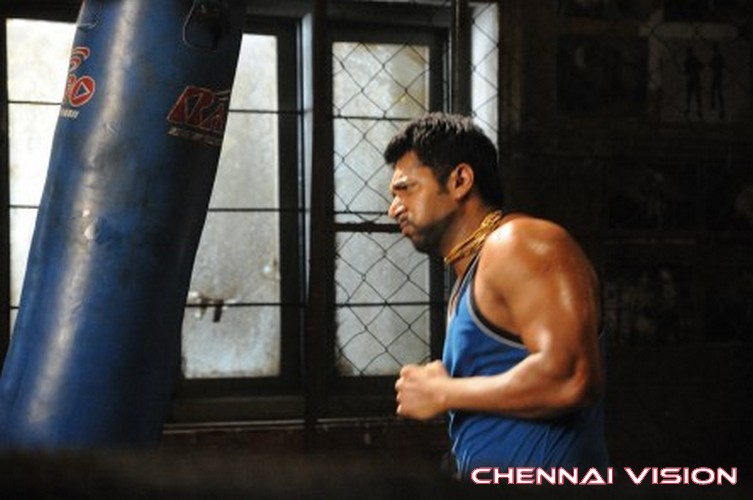 Tamil Actor Jayam Ravi Photos by Chennaivision