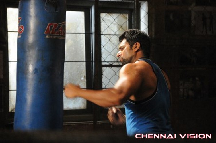 Tamil Actor Jayam Ravi Photos by Chennaivision