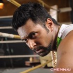 Tamil Actor Jayam Ravi Photos by Chennaivision