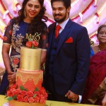 Tamil Actor Nakul Wedding Reception Photos