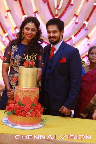 Tamil Actor Nakul Wedding Reception Photos