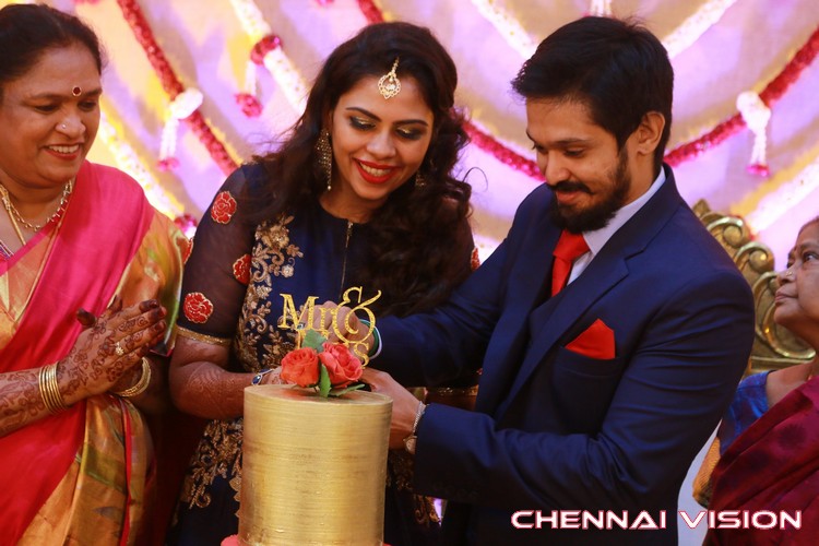 Tamil Actor Nakul Wedding Reception Photos