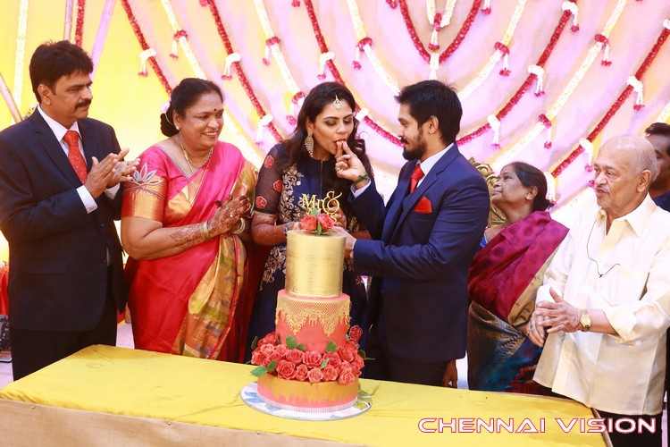 Tamil Actor Nakul Wedding Reception Photos