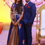 Tamil Actor Nakul Wedding Reception Photos