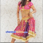 Tamil Actress Shalini Naidu Photos by Chennaivision