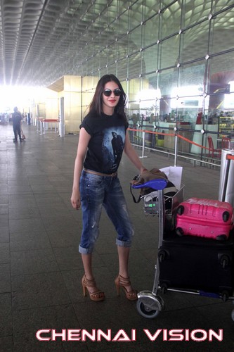 Tamil Actress Amyra Dastur Photos by Chennaivision