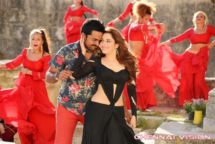 Thozha Tamil Movie Photos by Chennaivision