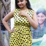 Yaanai Mel Kuthirai Sawaari Audio Launch Photos