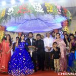 Director R Pandiarajan Son Prithvirajan Wedding Reception Photos