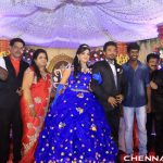 Director R Pandiarajan Son Prithvirajan Wedding Reception Photos