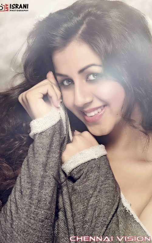 Tamil Actress Nikki Galrani Photos