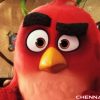 The Angry Birds Movie Photos