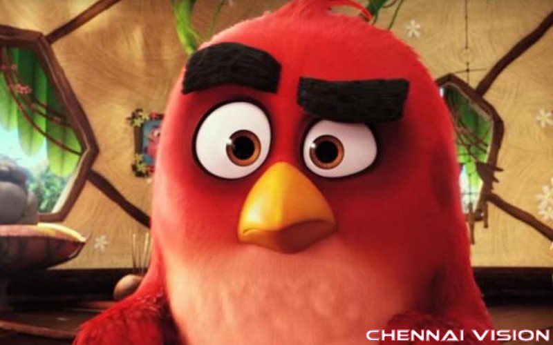 The Angry Birds Movie Photos