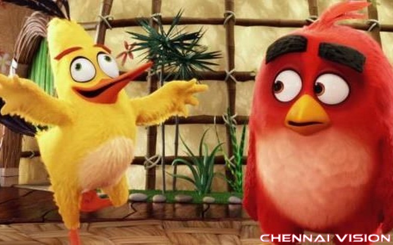 The Angry Birds Movie Photos