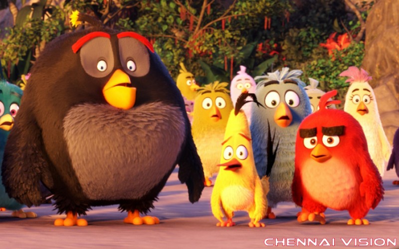 The Angry Birds Movie Photos