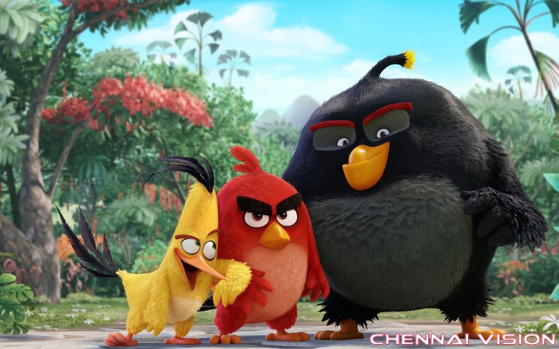 The Angry Birds Movie Photos