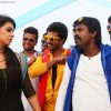 Velainu Vandhutta Vellaikaaran Tamil Movie Photos