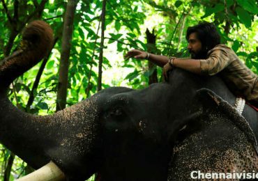 Kaadan Movie stills & News