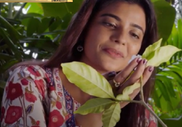 Here’s the hard hitting #Adivaanam short film – A lockdown legacy in 5 mins *ing @aishu_dil & @AshwinKakumanu