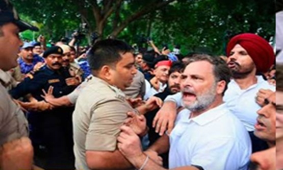 Rahul Gandhi, Priyanka Gandhi among Opposition leaders detained during protest