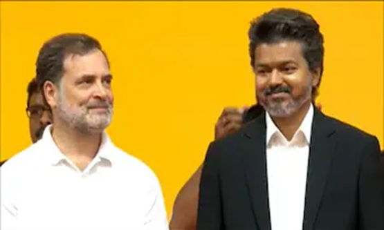 Vijay vs Rahul Gandhi: TVK-Congress tussle over PM candidate continues